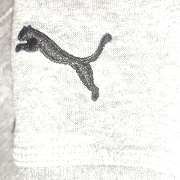 Puma Big Logo grey hoodie - Picture 2 of 5